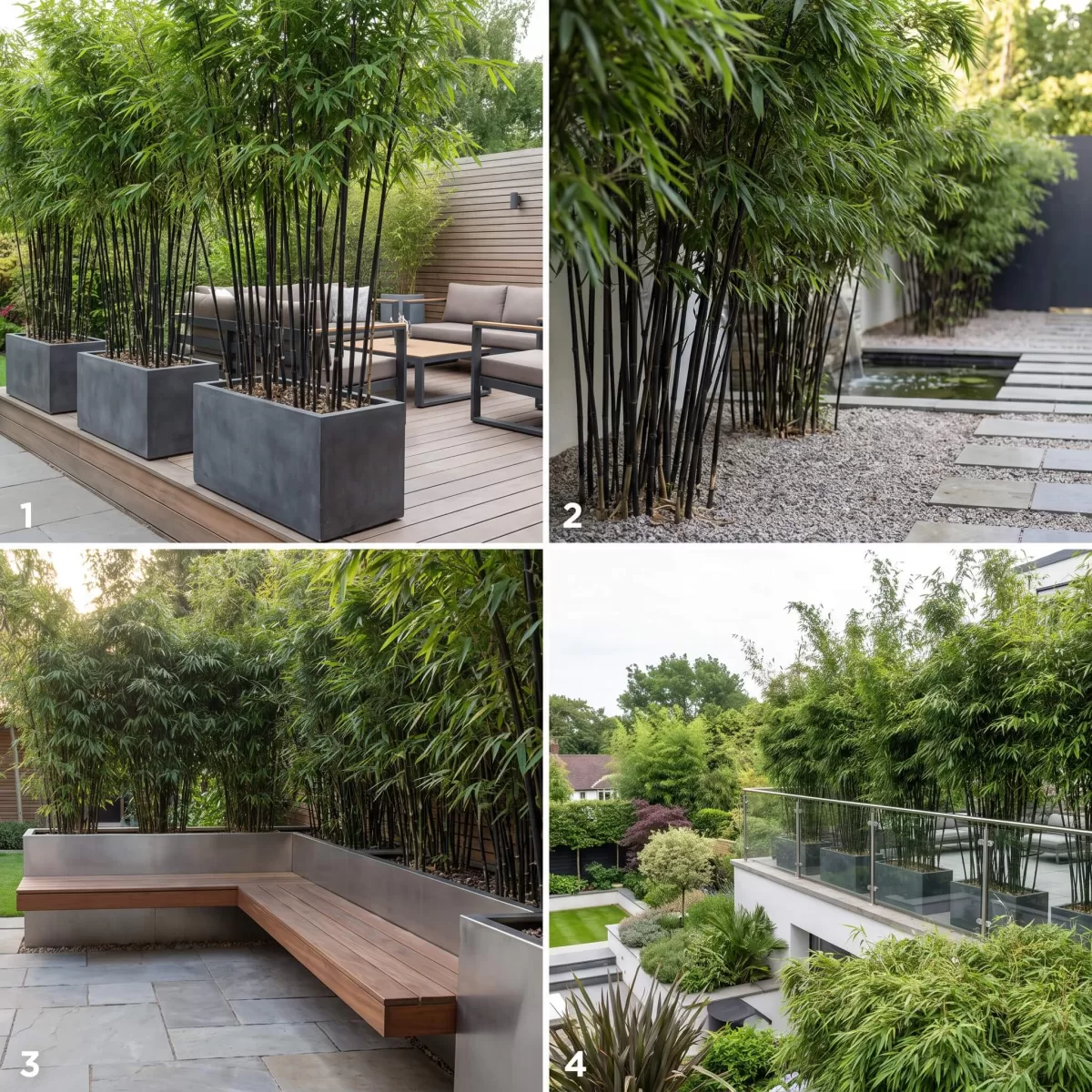 Schwarzer Bambus Garten modernes Design Sichtschutz Terrasse